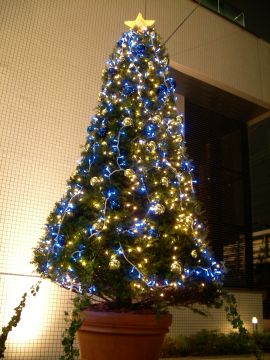 x'mas tree1.jpg